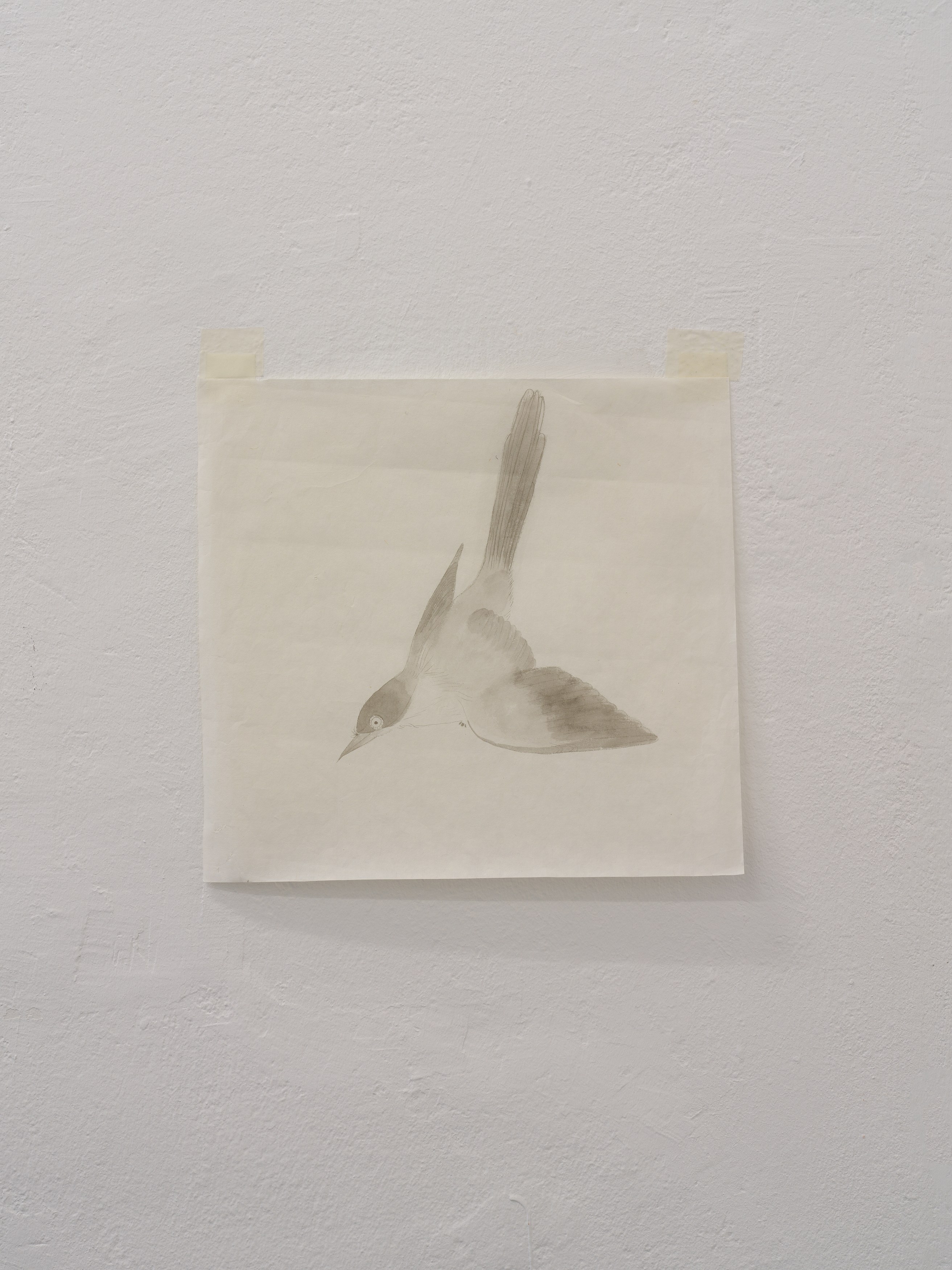 Cici Wu, Travel Star between Ceasing and Arising at Scheusal, photo 20