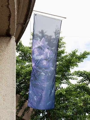 Image 2 of 37