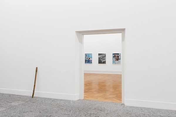 Image 3 of 37