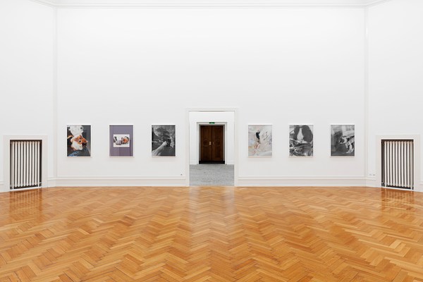 Image 16 of 37