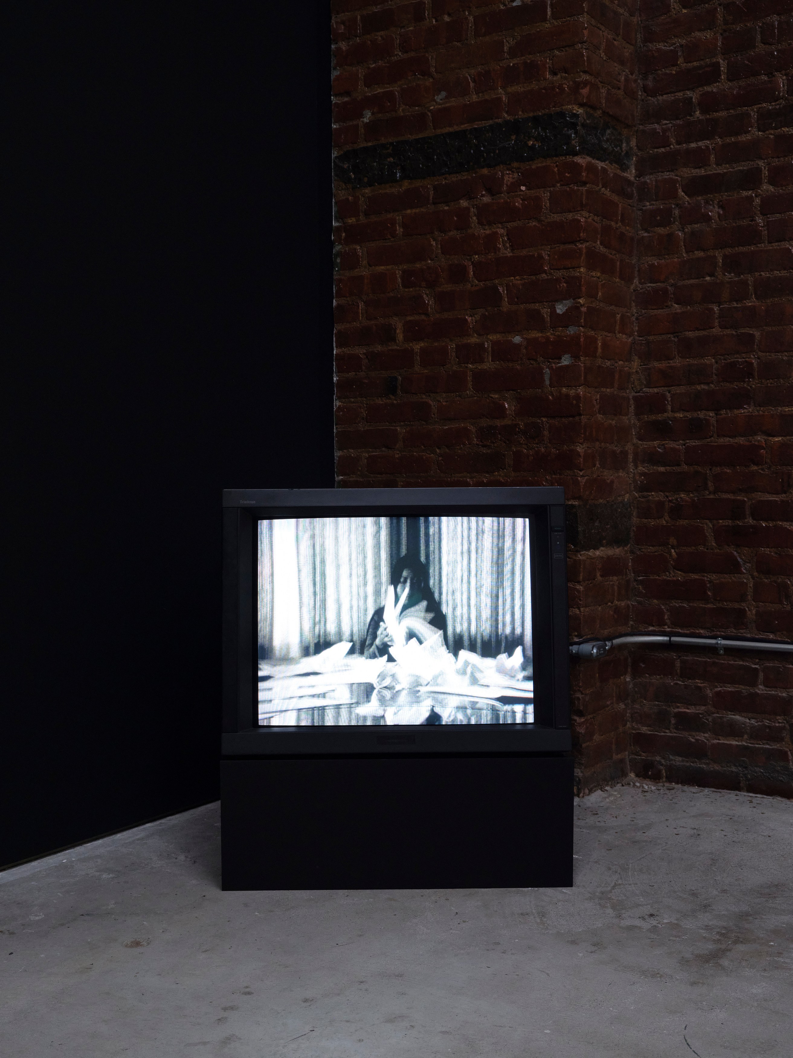 Theresa Hak Kyung Cha, Jimmy Robert, flipping through pages keeping a record of time at Participant Inc, photo 50