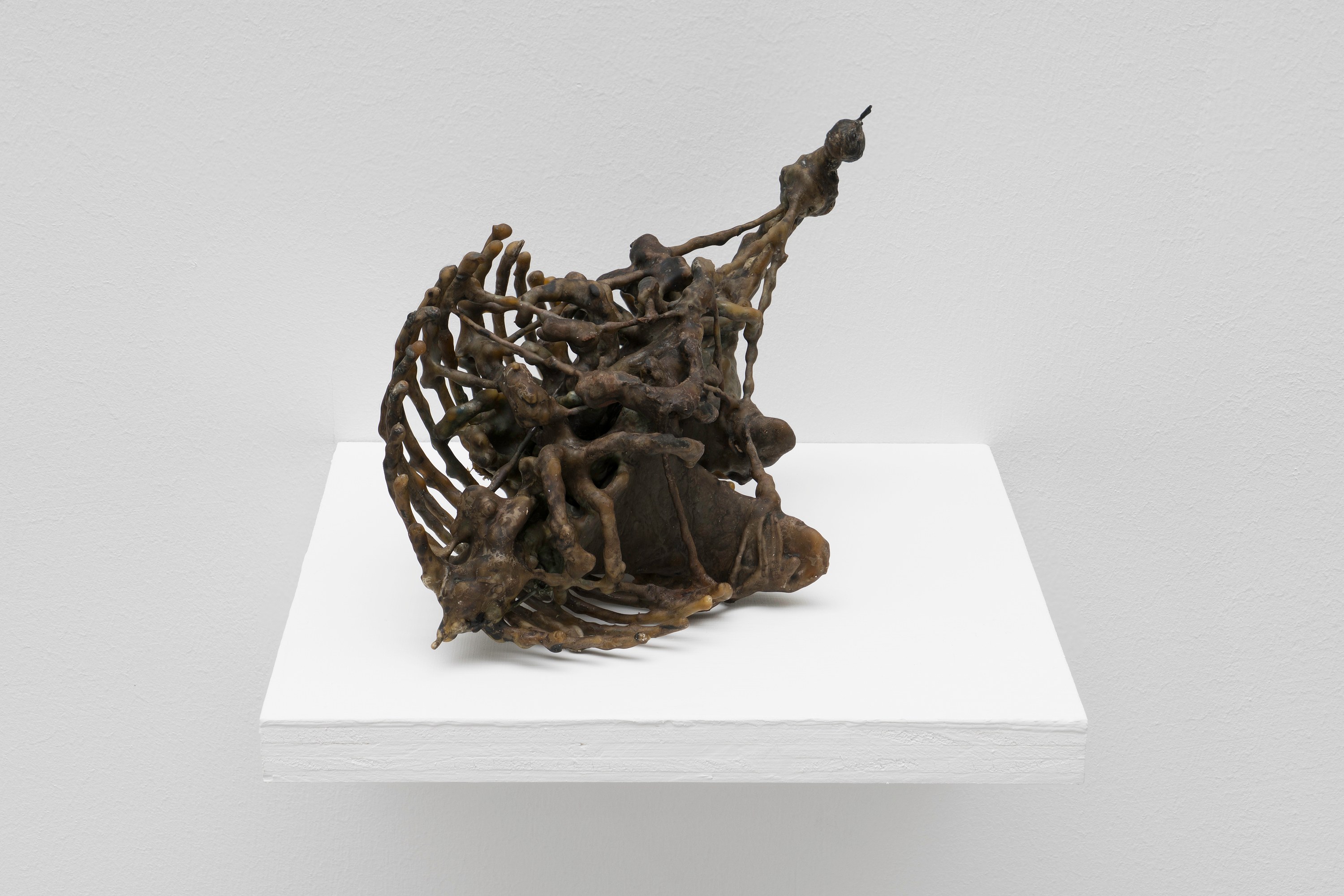 Matt Hoyt, Tom Thayer, I Want to Climb Through the Windows of My Eyes and Become Static Electricity at Bureau, photo 31