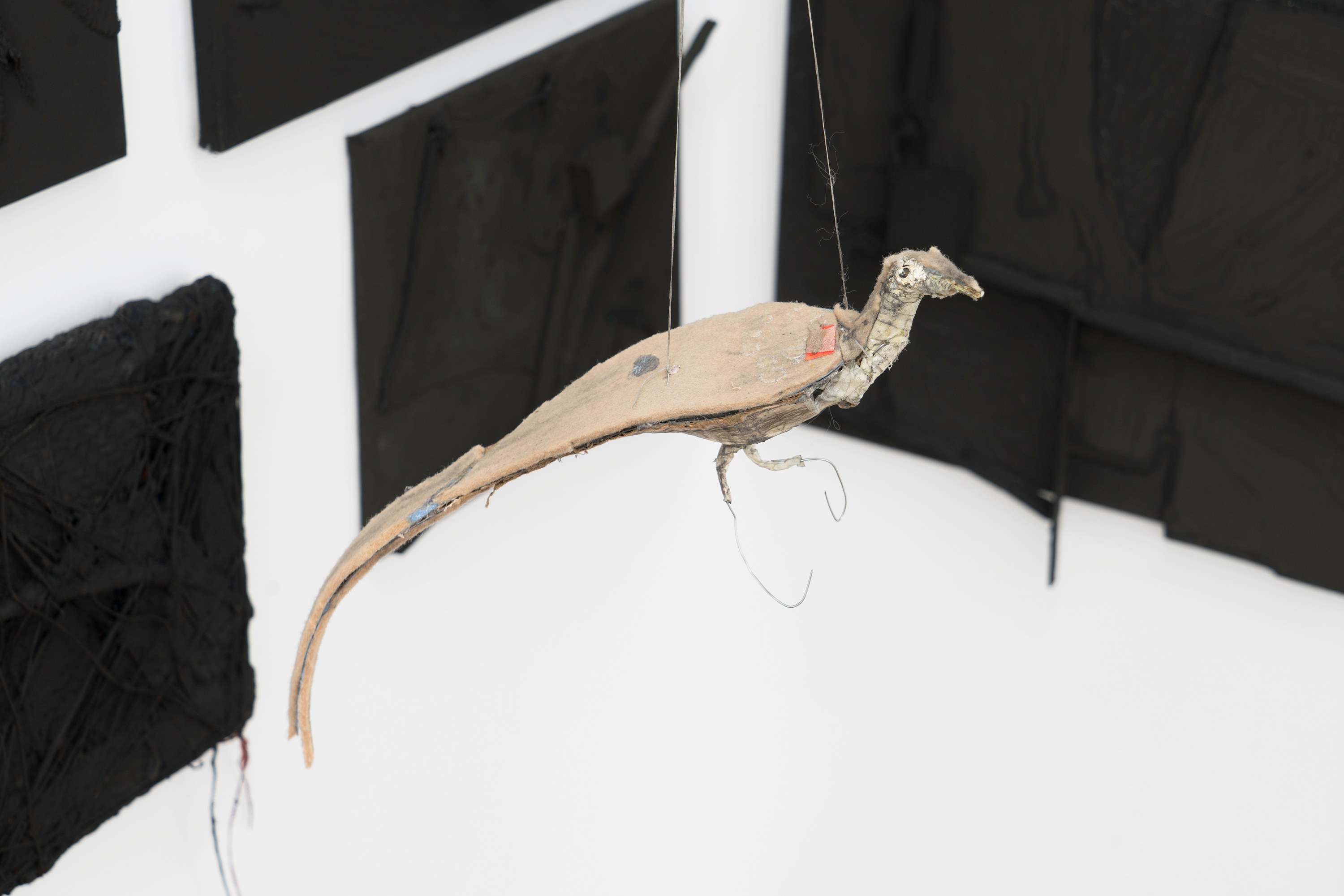 Matt Hoyt, Tom Thayer, I Want to Climb Through the Windows of My Eyes and Become Static Electricity at Bureau, photo 96