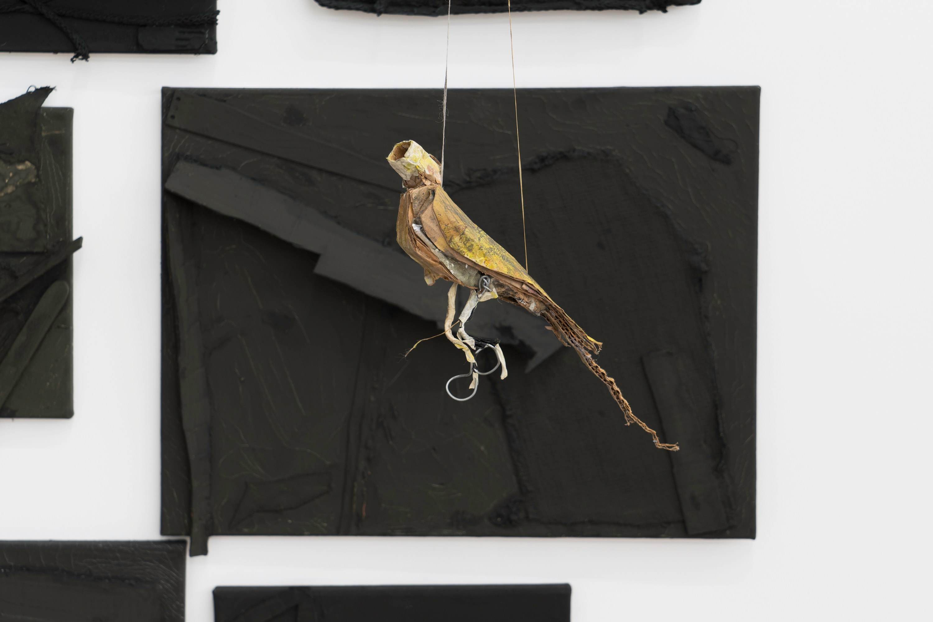 Matt Hoyt, Tom Thayer, I Want to Climb Through the Windows of My Eyes and Become Static Electricity at Bureau, photo 98