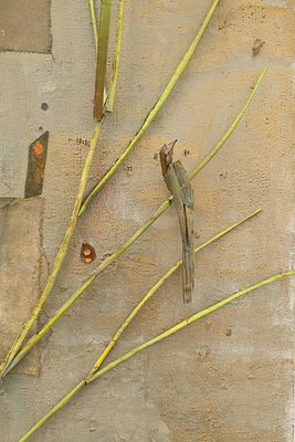 Image 107 of 153