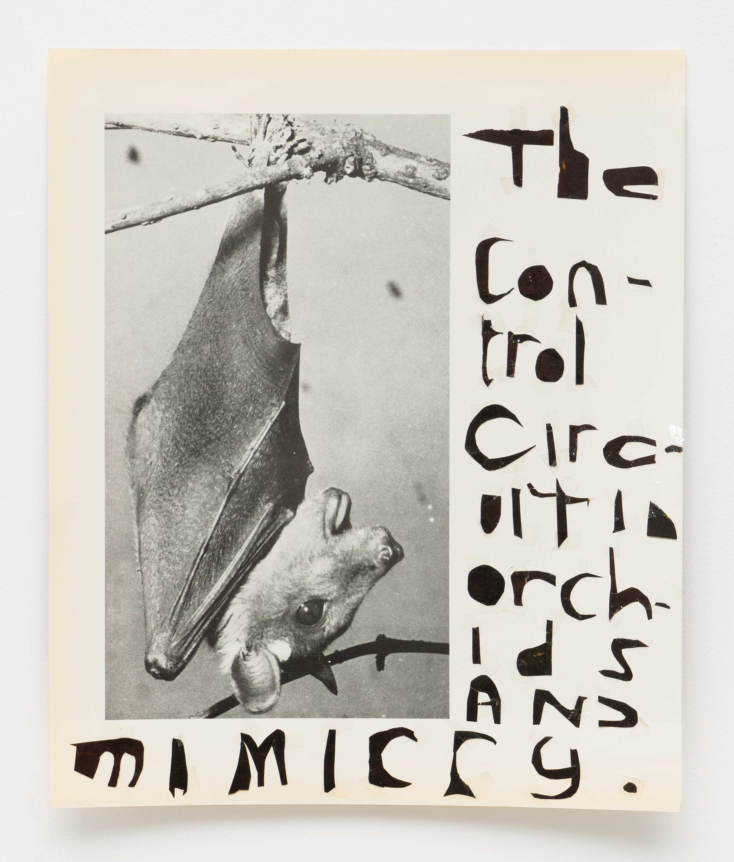 Matt Hoyt, Tom Thayer, I Want to Climb Through the Windows of My Eyes and Become Static Electricity at Bureau, photo 117