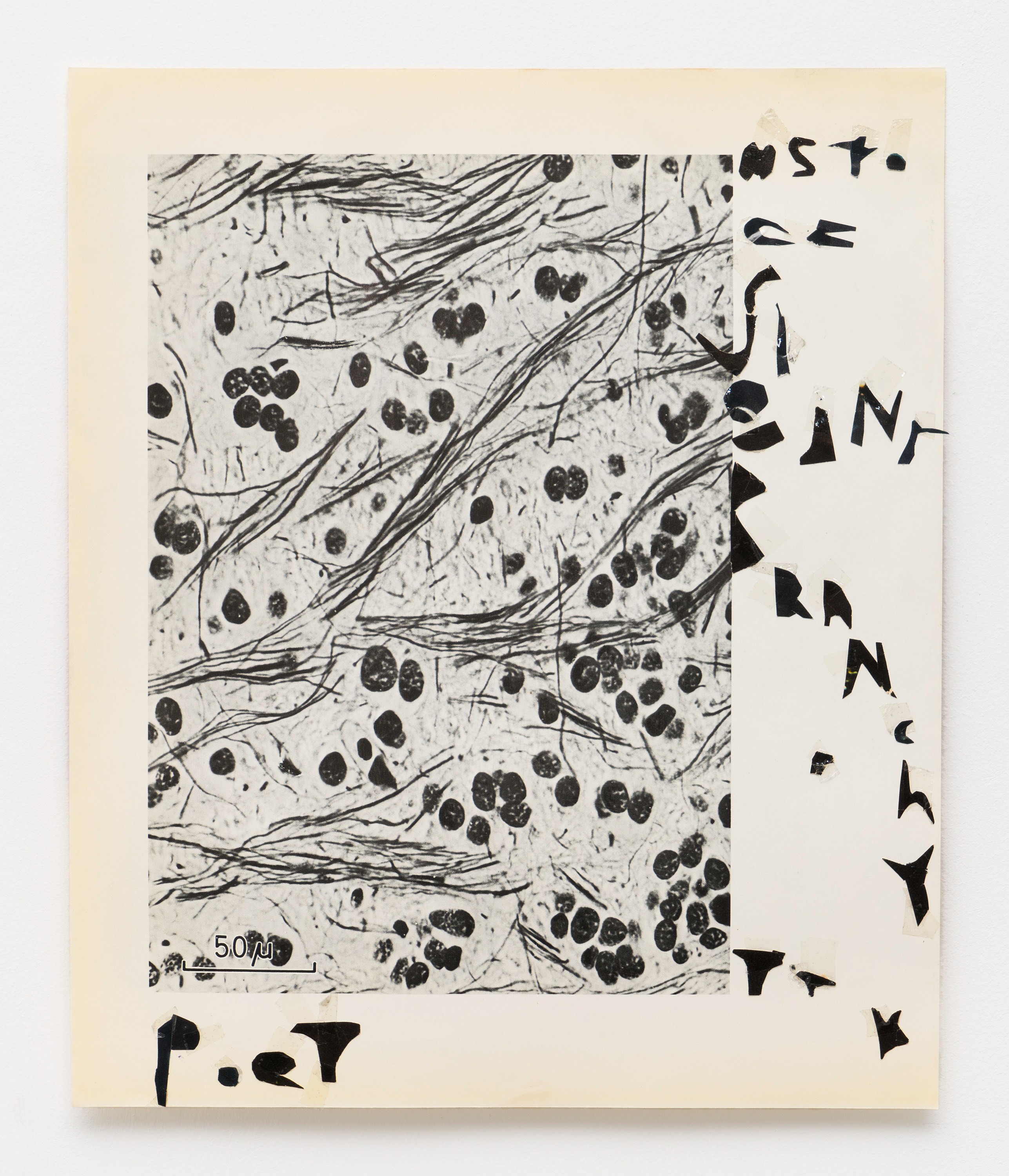 Matt Hoyt, Tom Thayer, I Want to Climb Through the Windows of My Eyes and Become Static Electricity at Bureau, photo 119