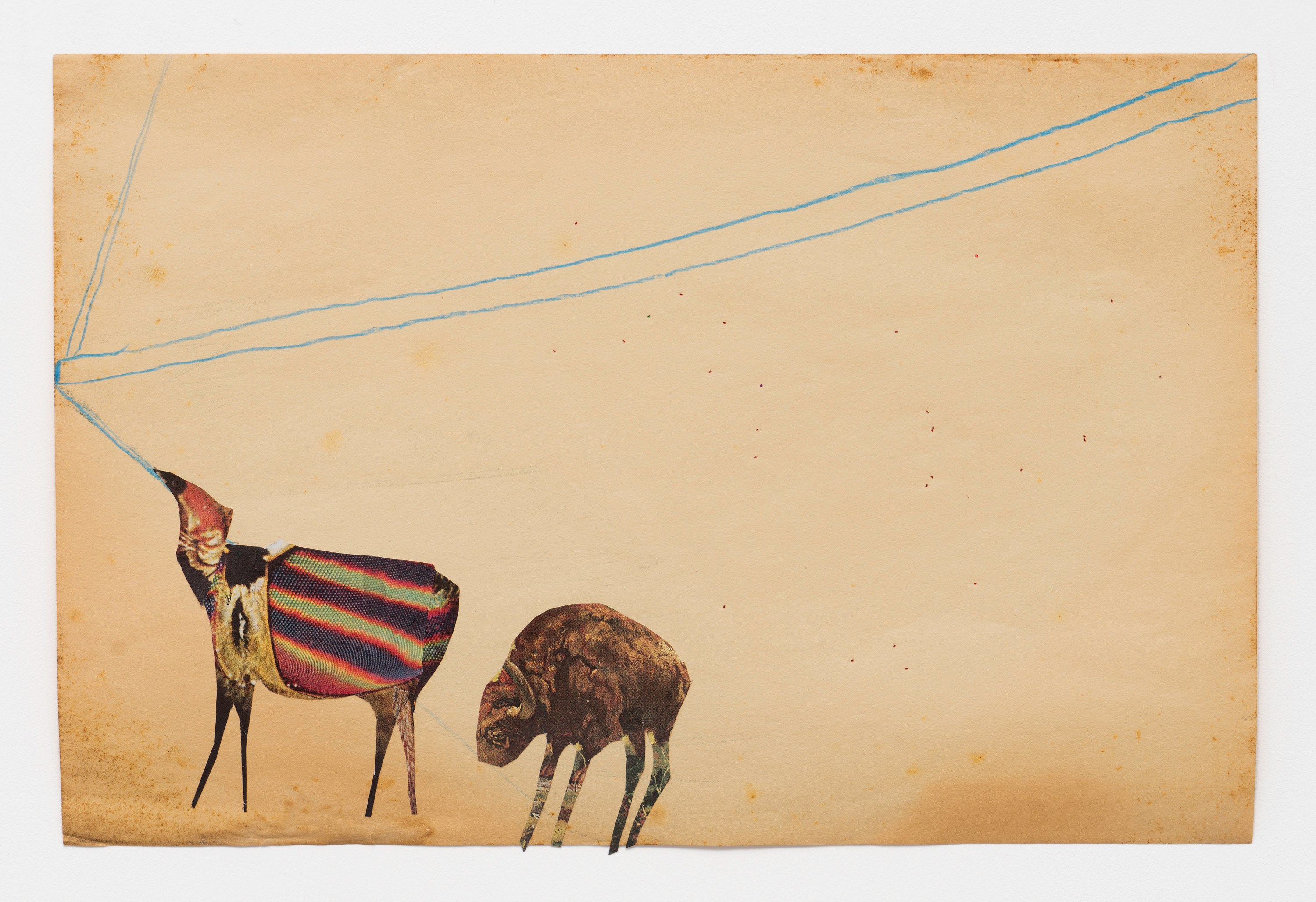 Matt Hoyt, Tom Thayer, I Want to Climb Through the Windows of My Eyes and Become Static Electricity at Bureau, photo 129