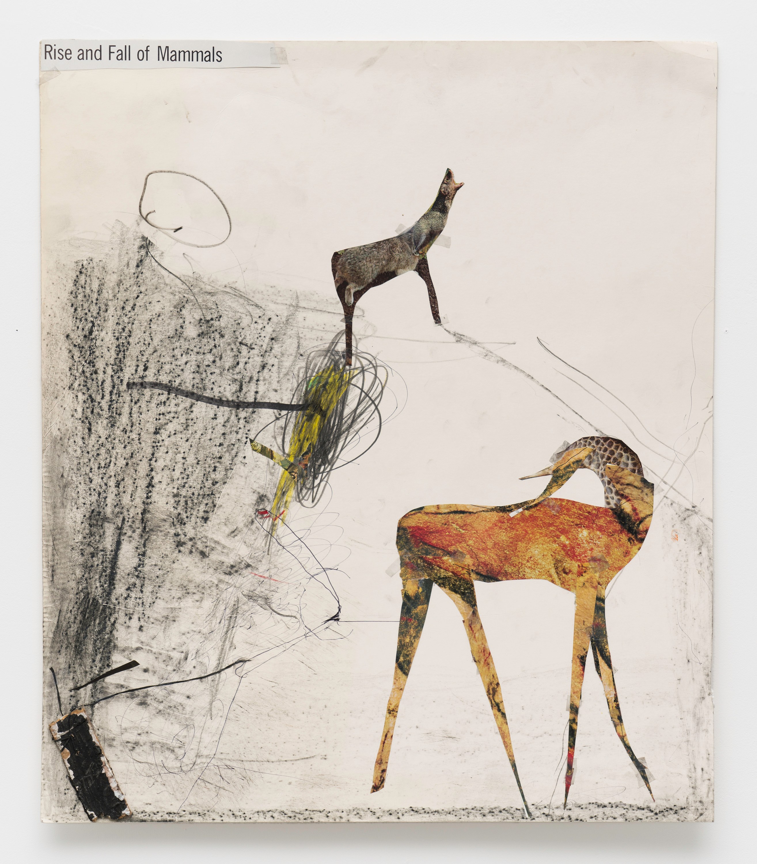 Matt Hoyt, Tom Thayer, I Want to Climb Through the Windows of My Eyes and Become Static Electricity at Bureau, photo 152