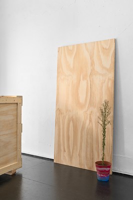 Image 8 of 12