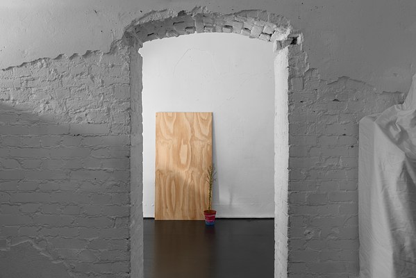 Image 2 of 12