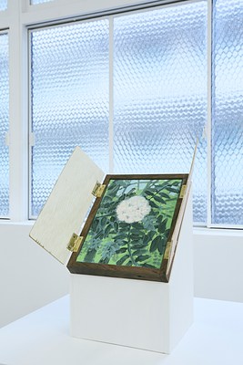 Image 21 of 28