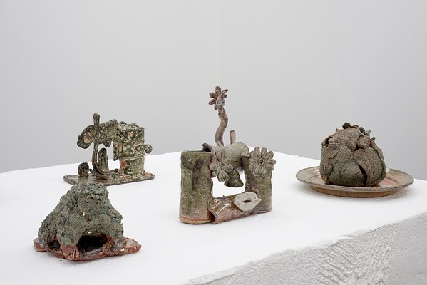 Image 13 of 21