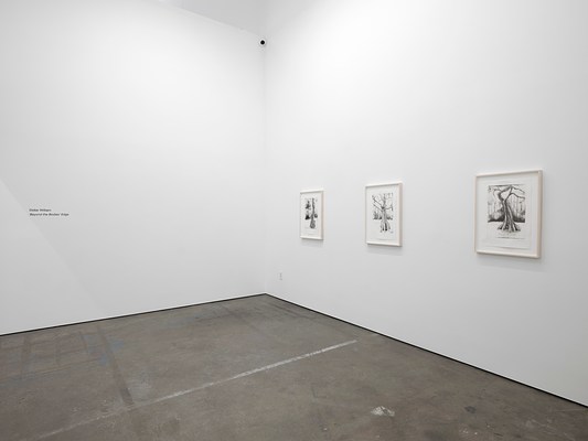 Image 1 of 9