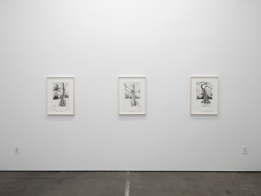 Image 2 of 9