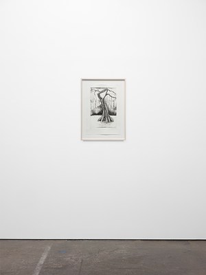 Image 6 of 9