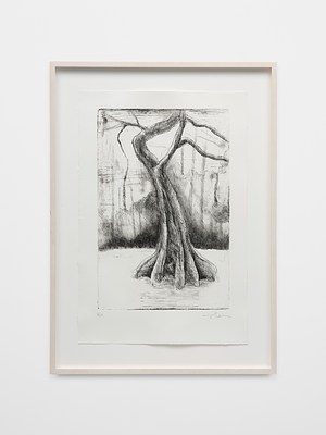 Image 7 of 9