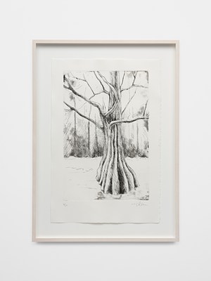 Image 9 of 9