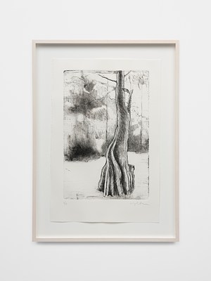 Image 5 of 9