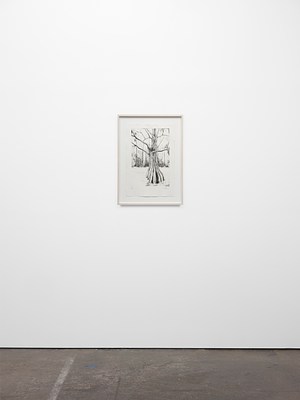 Image 8 of 9