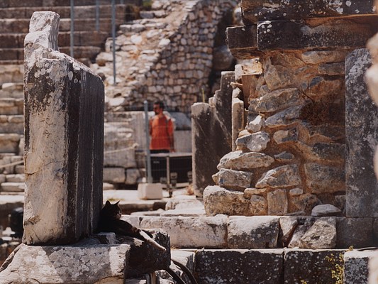 Image 17 of 26