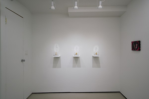 Image 14 of 61