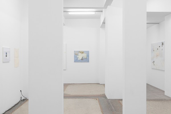Image 7 of 37