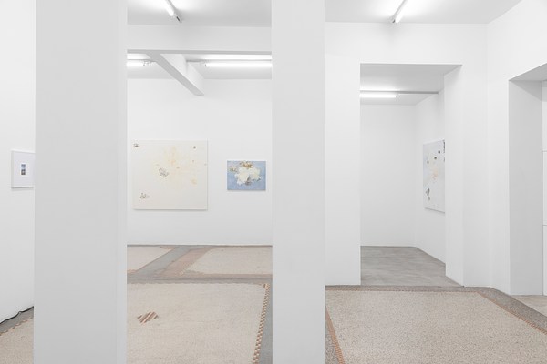 Image 6 of 37