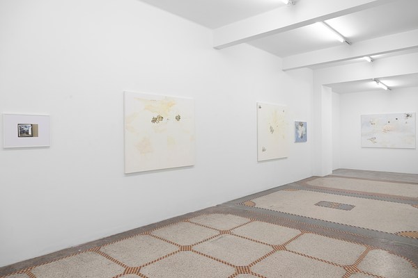 Image 17 of 37