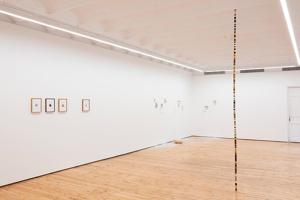Image 15 of 26