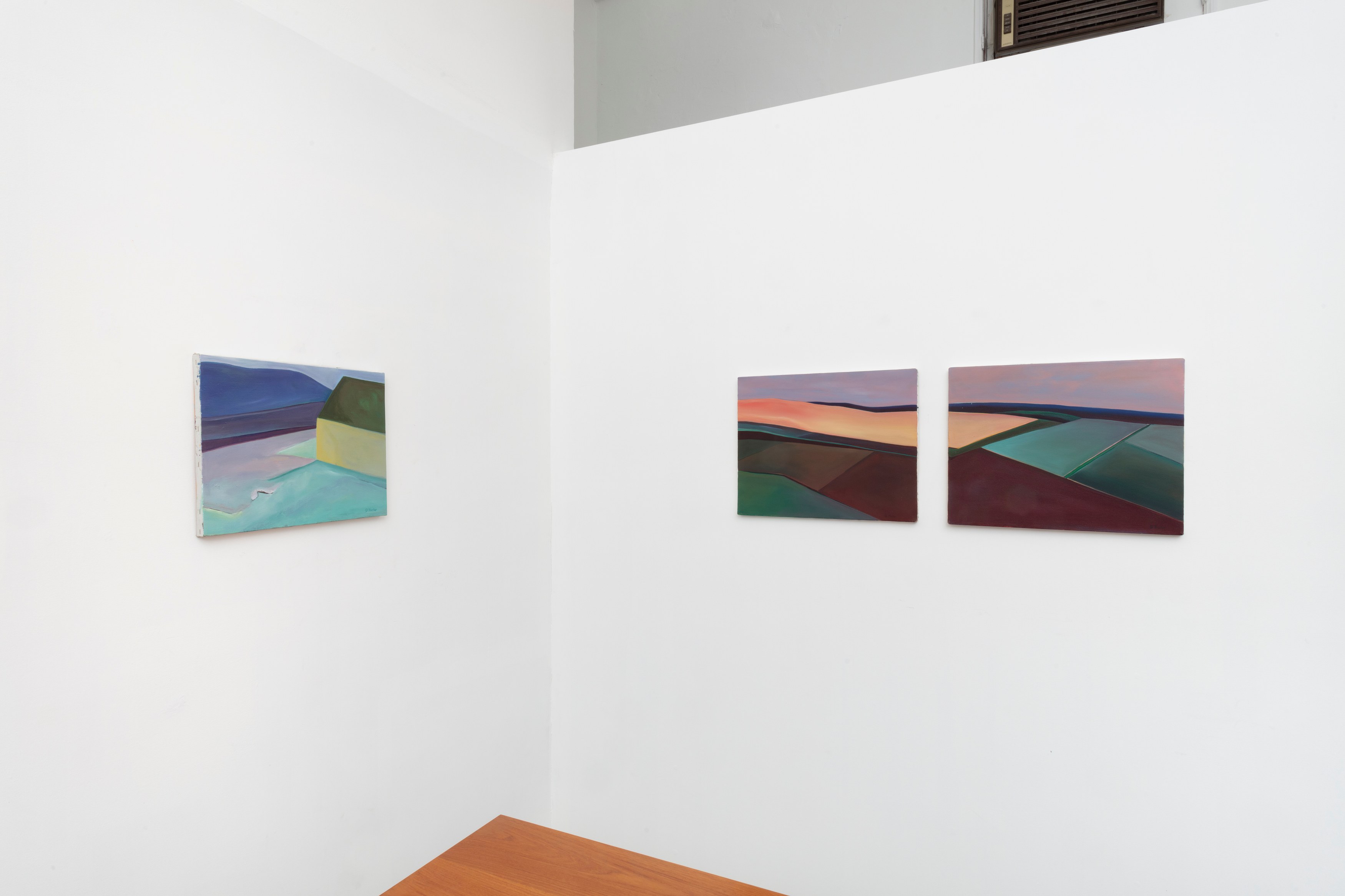 Gail Factor, Emotional Alchemy at NOON Projects, photo 9