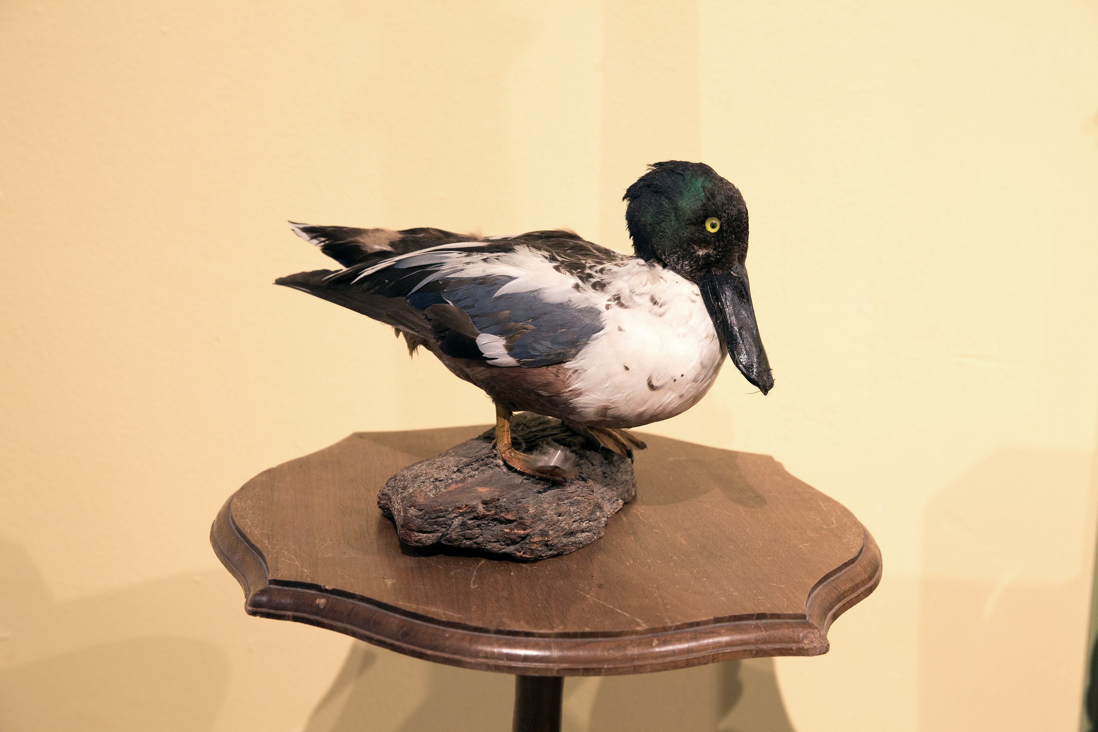 Scott Benzel, Norman Klein, Parallel Worlds at Phase Gallery, photo 61