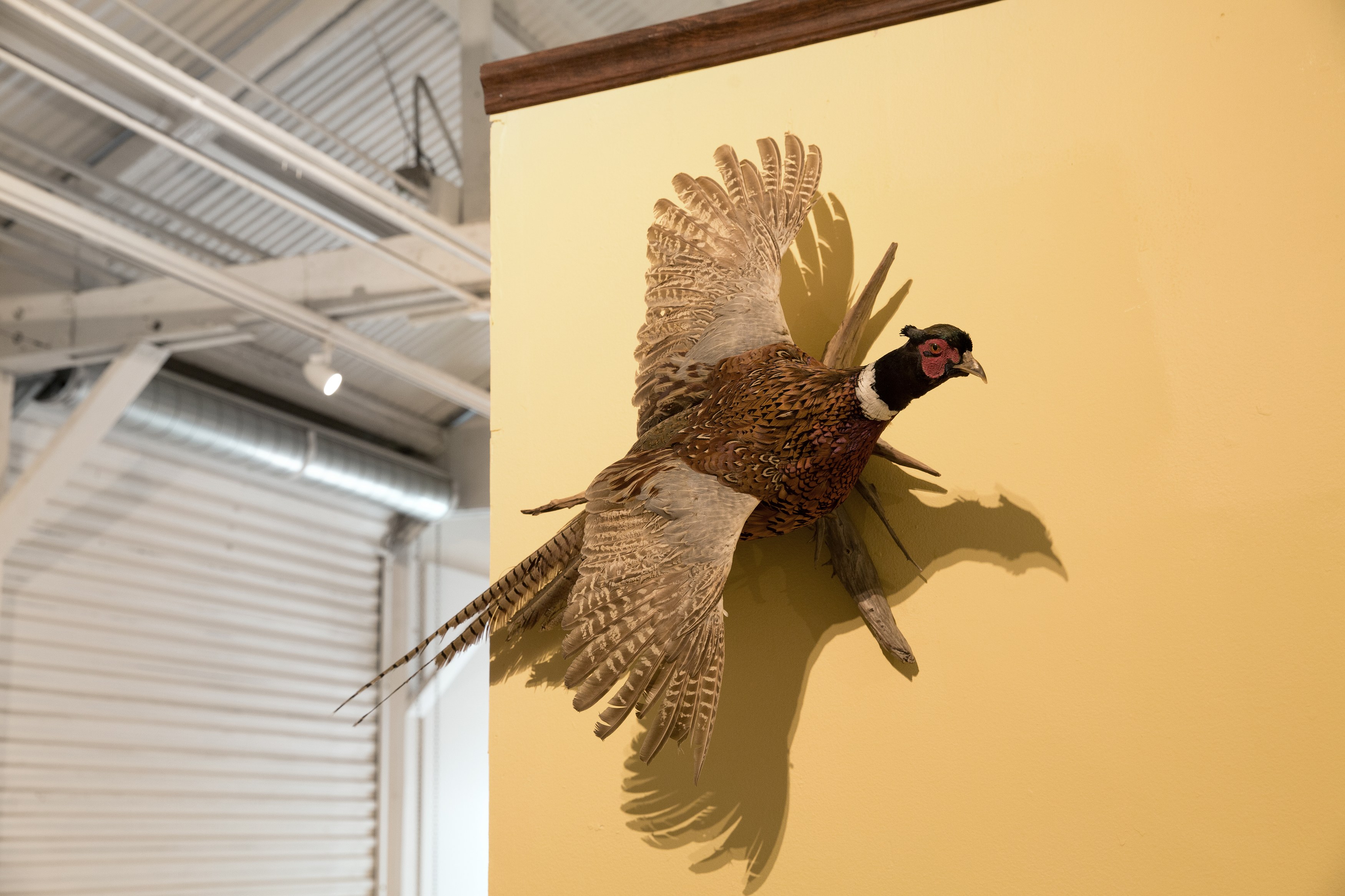 Scott Benzel, Norman Klein, Parallel Worlds at Phase Gallery, photo 60