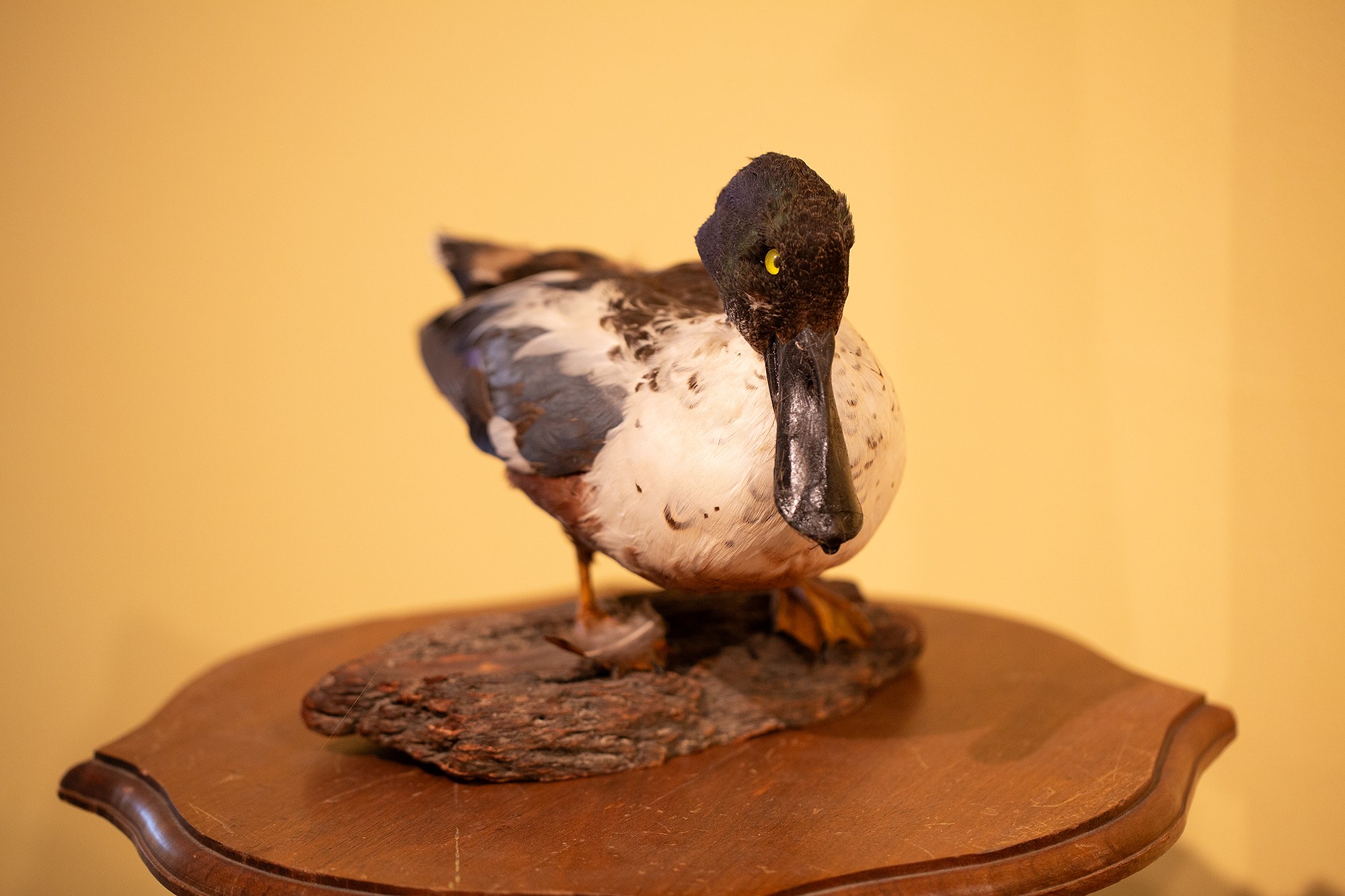 Scott Benzel, Norman Klein, Parallel Worlds at Phase Gallery, photo 71