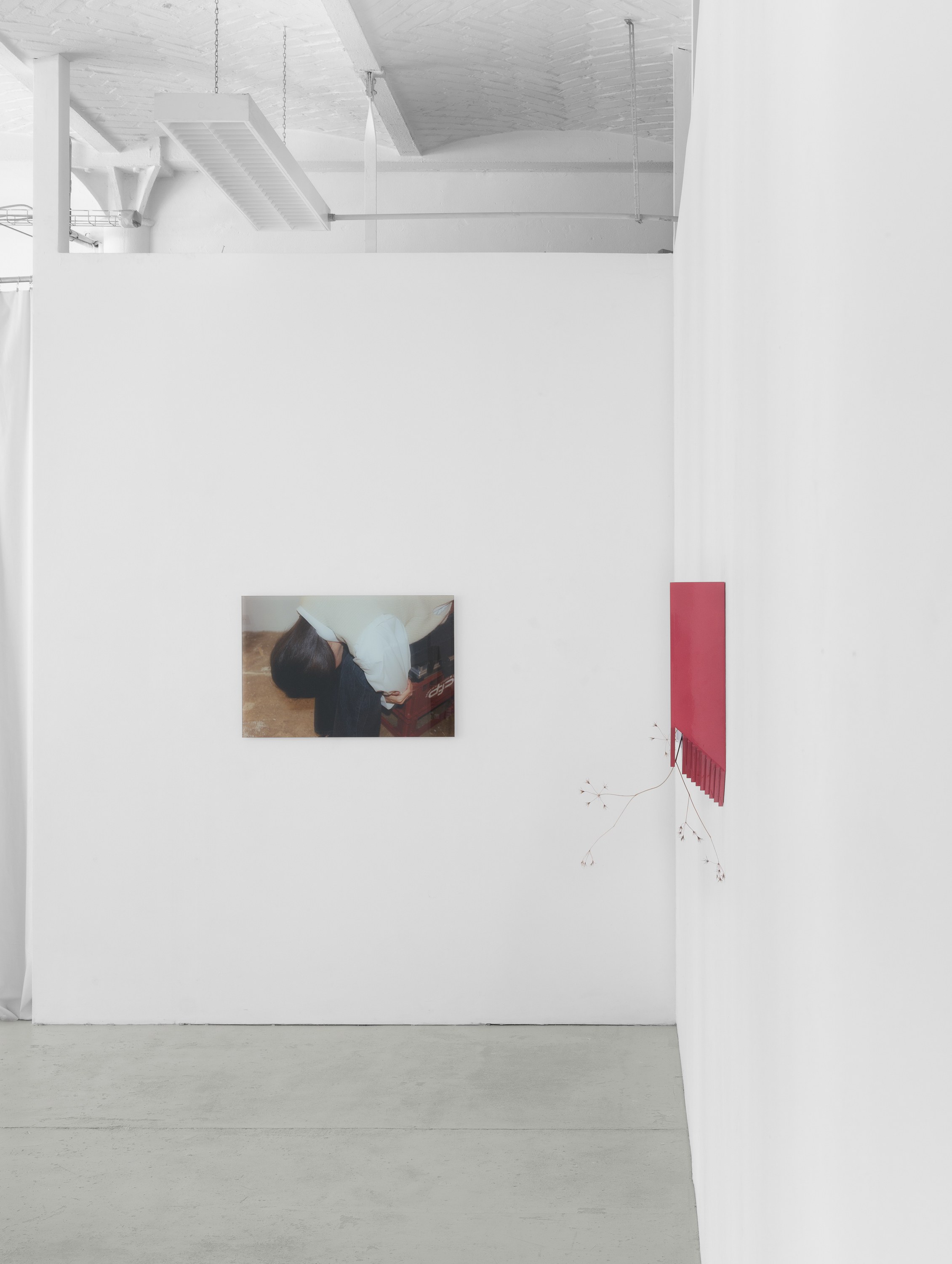 Lena Marie Emrich, Brace, Brace at Office Impart, photo 3