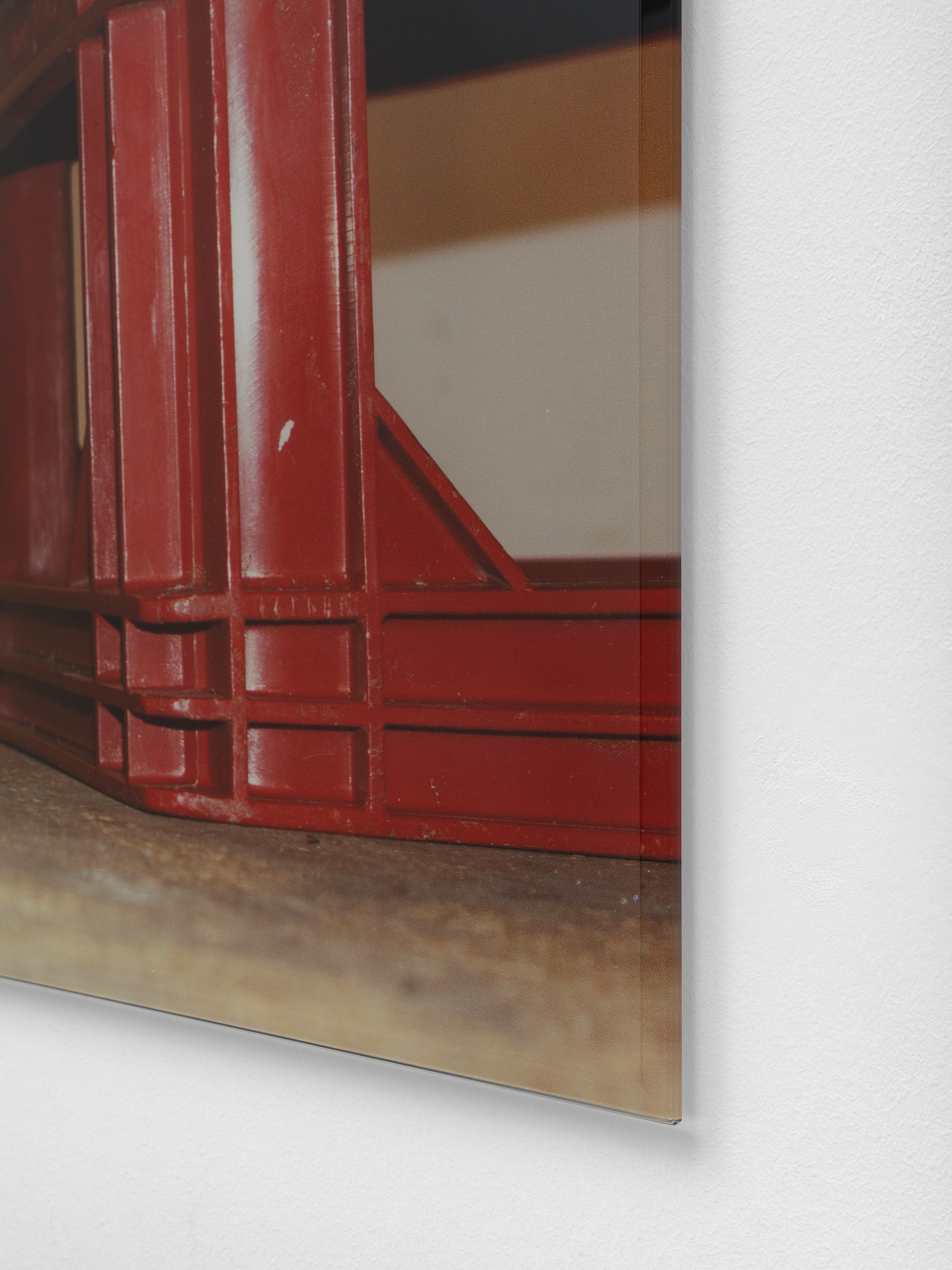 Lena Marie Emrich, Brace, Brace at Office Impart, photo 26