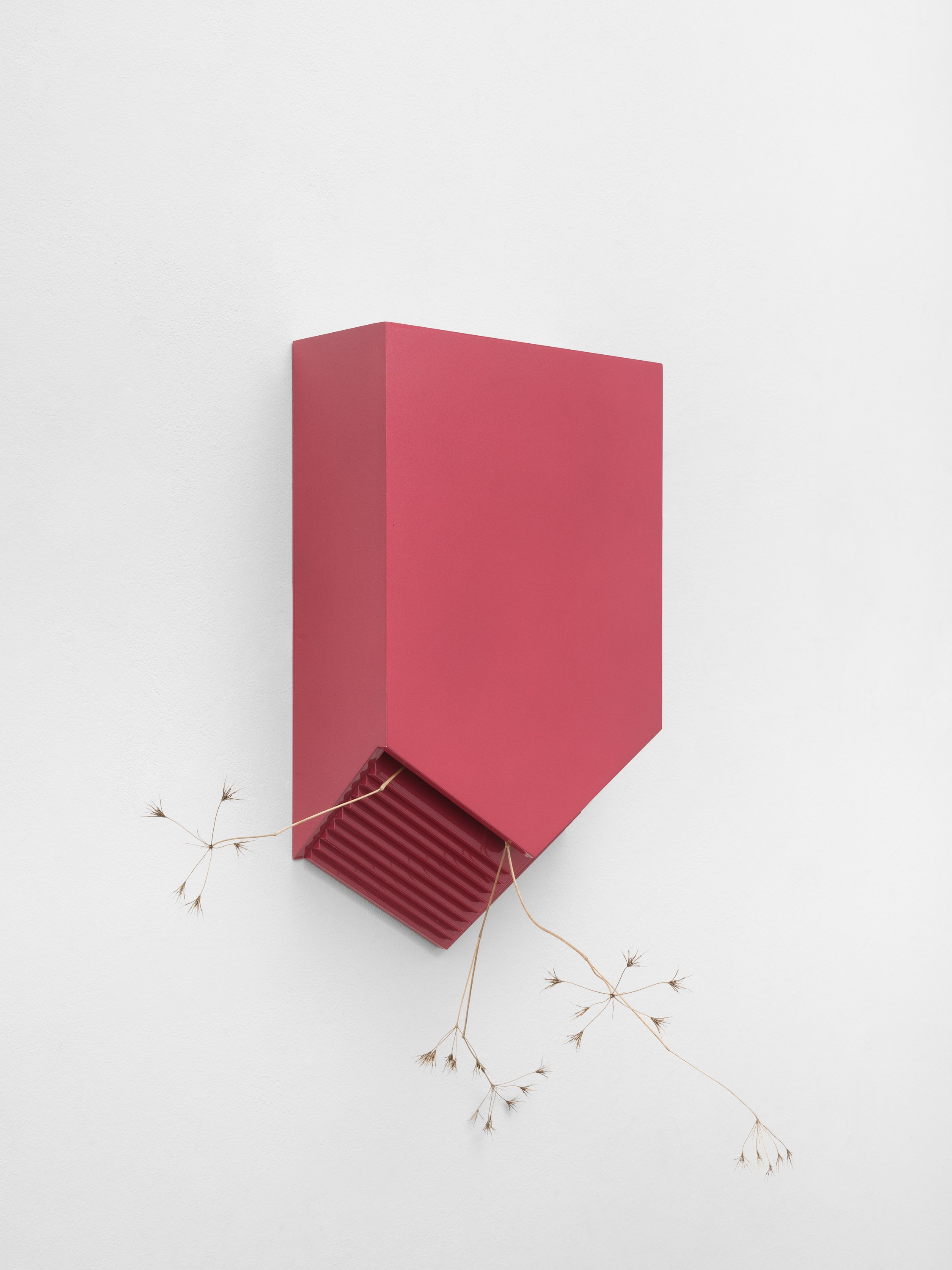 Lena Marie Emrich, Brace, Brace at Office Impart, photo 31