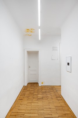 Image 1 of 20