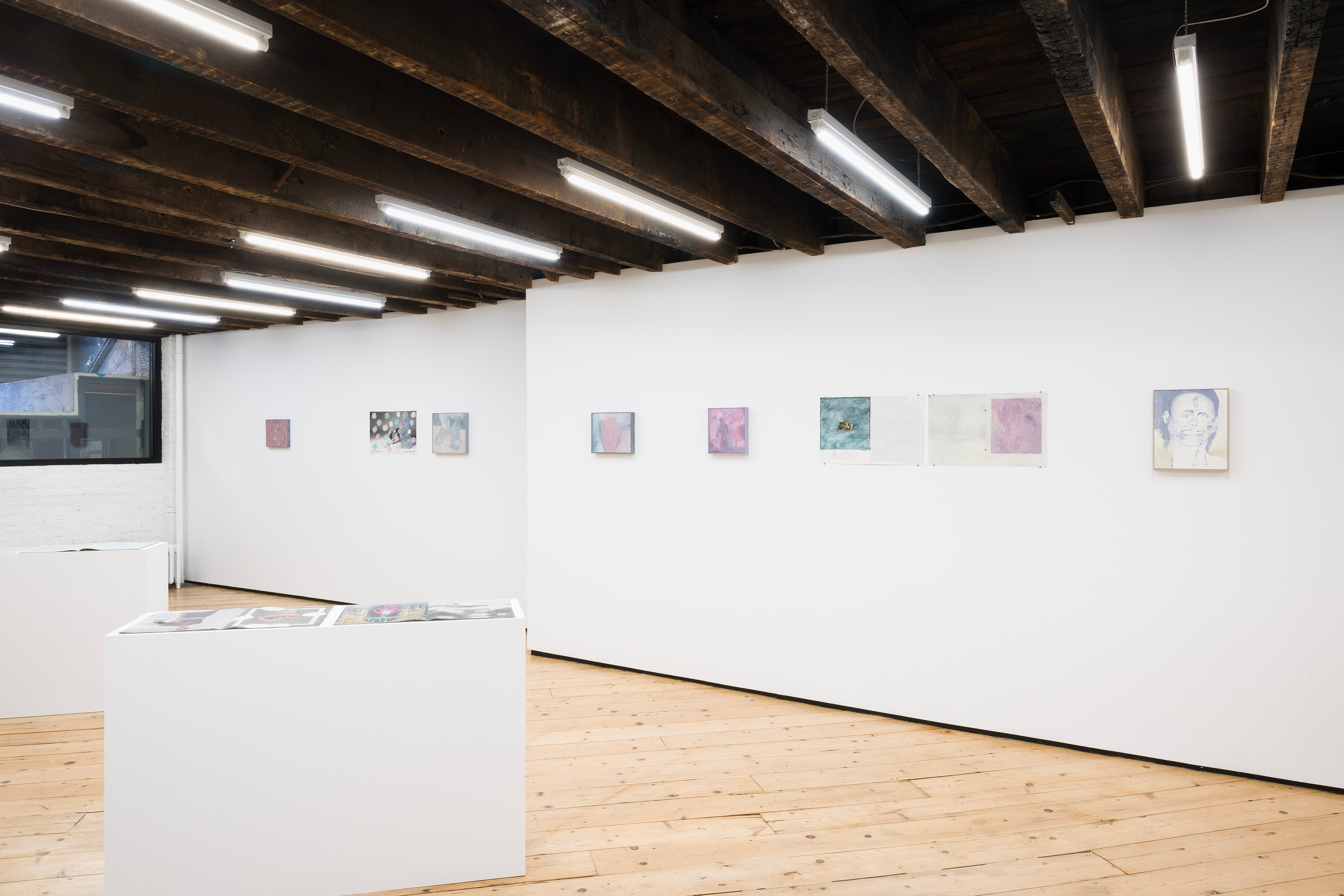 Michael Iveson, Anon at Foreign & Domestic, photo 5