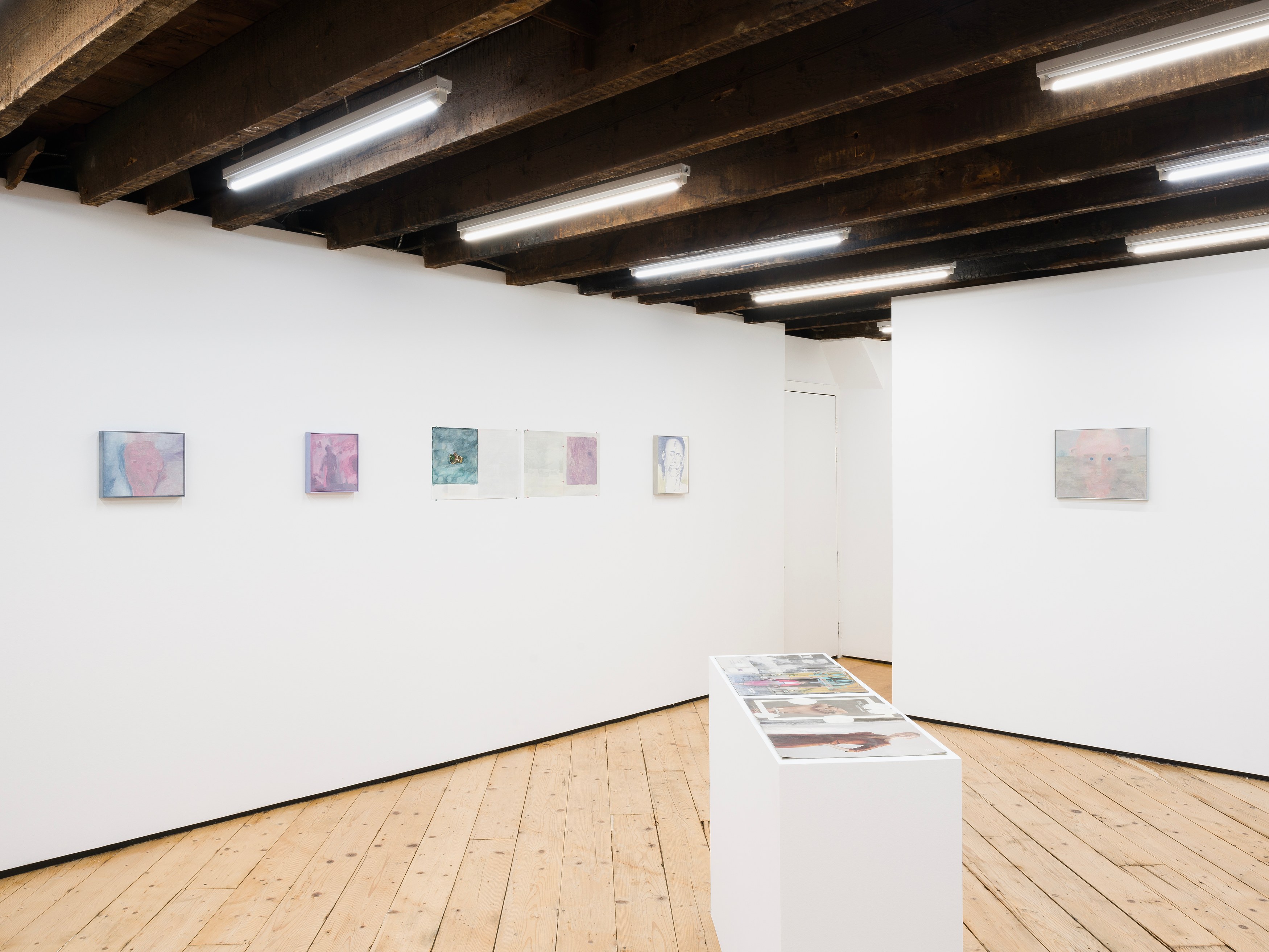 Michael Iveson, Anon at Foreign & Domestic, photo 6