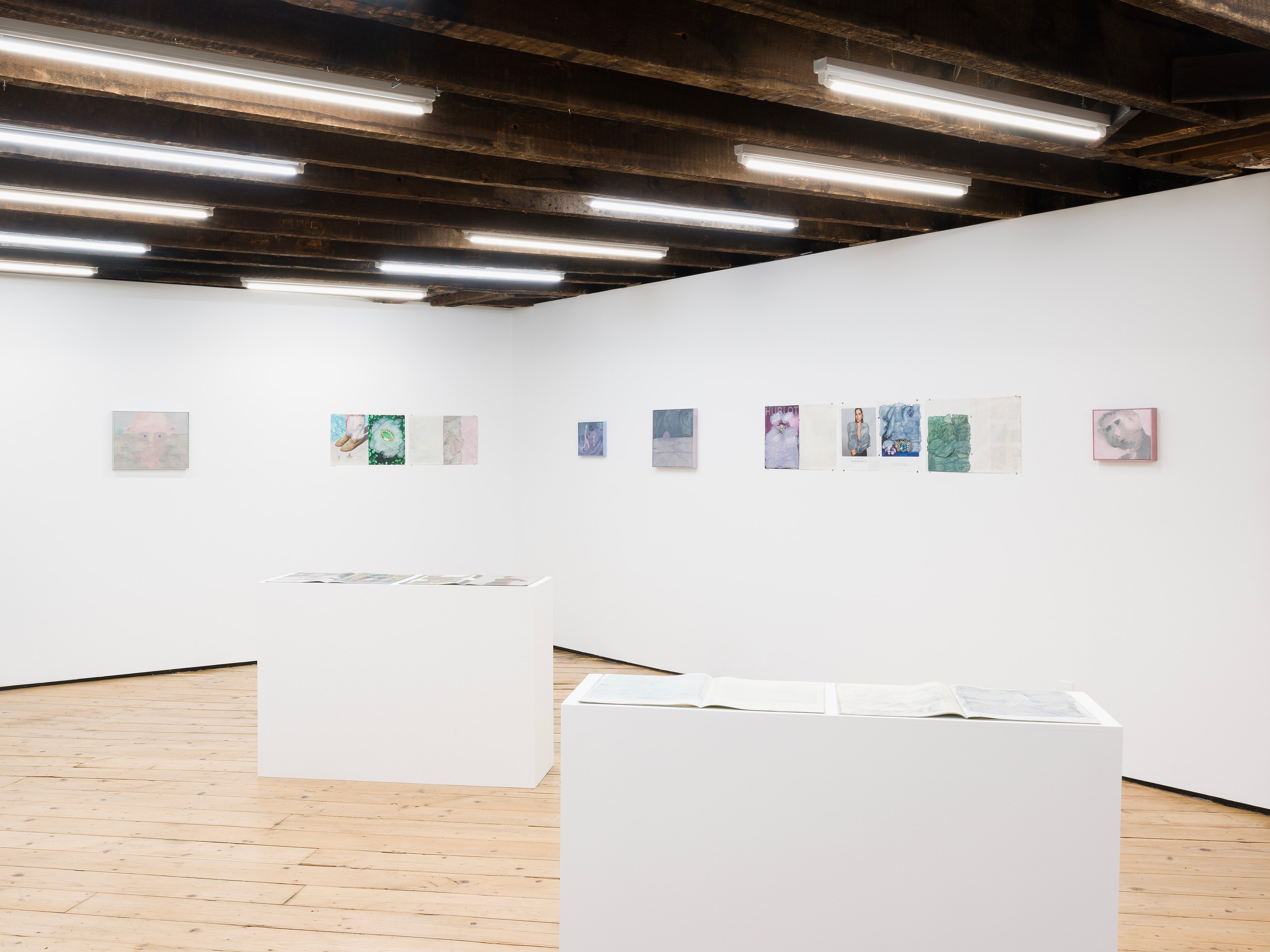 Michael Iveson, Anon at Foreign & Domestic, photo 16