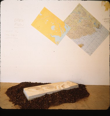 Image 6 of 11