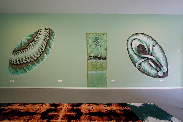 Image 13 of 13