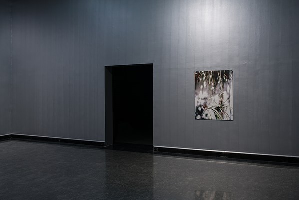 Image 1 of 63