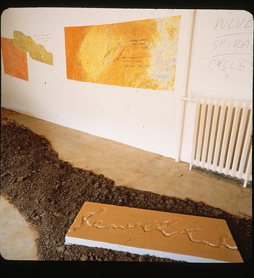 Image 8 of 11