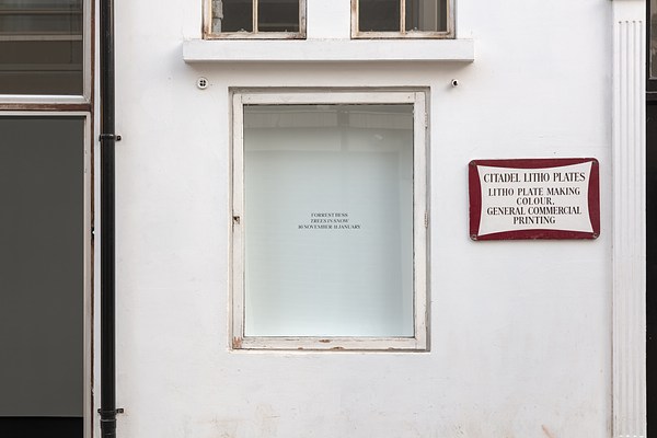 Image 7 of 14