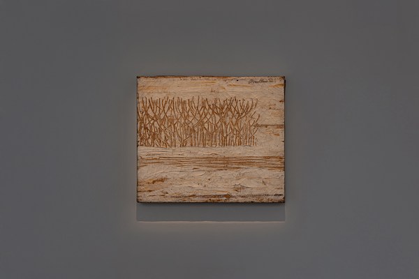 Image 12 of 14