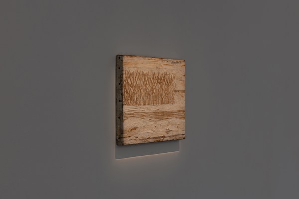 Image 14 of 14