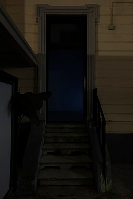 Image 2 of 17