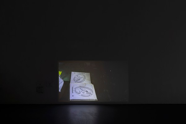 Image 4 of 17